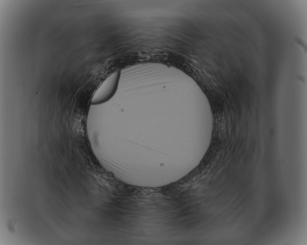 X0000091730770200709211019