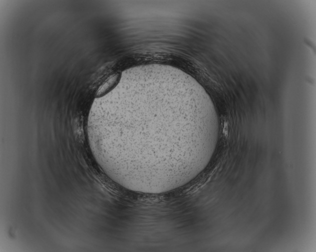 X0000091730771200709211019