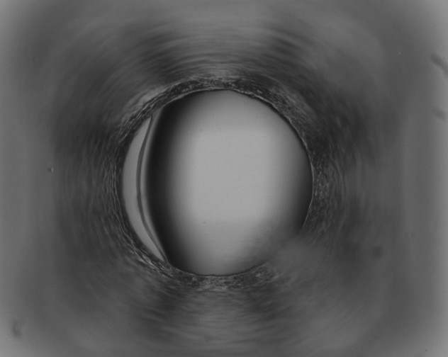 X0000091730773200709211019