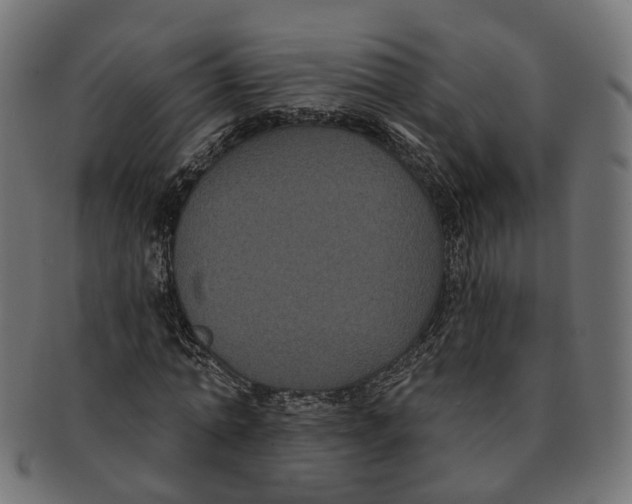 X0000091730774200709211019