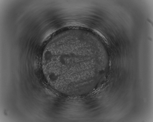 X0000091730775200709211019