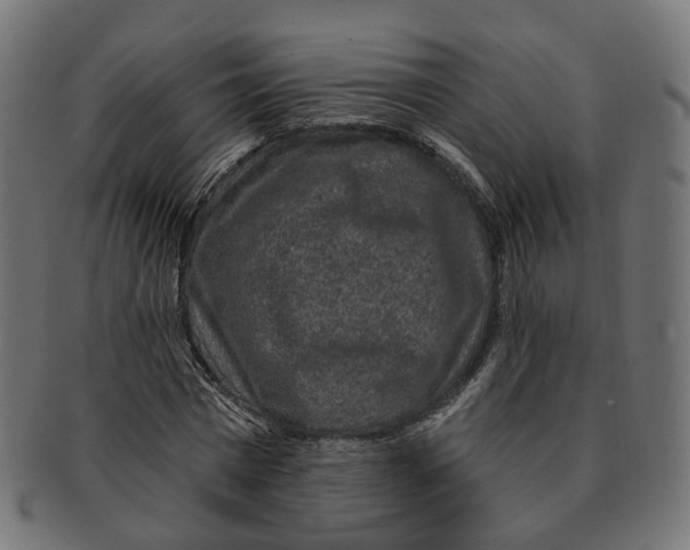 X0000091730777200709211019