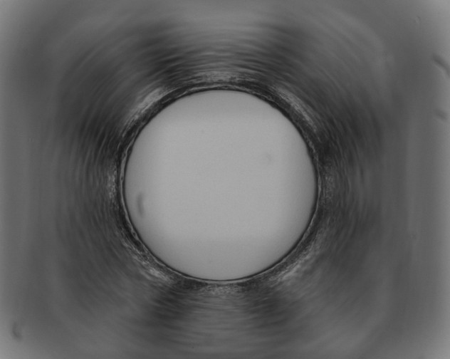 X0000091730778200709211019