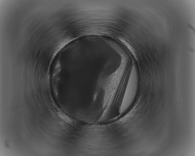 X0000091730779200709211019