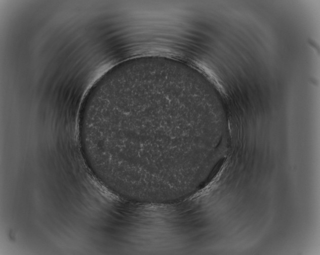 X0000091730780200709211019