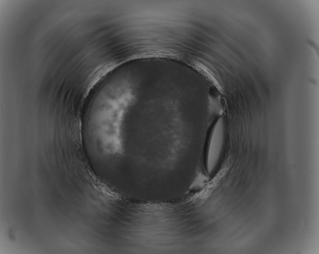 X0000091730781200709211019