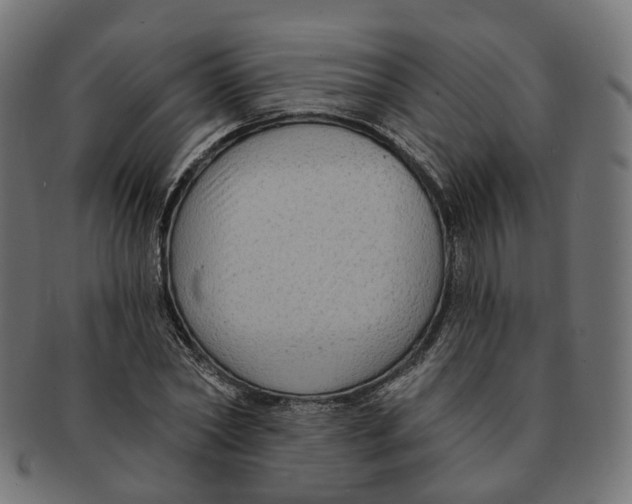 X0000091730782200709211019