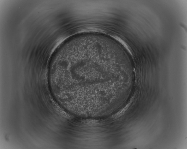 X0000091730783200709211019