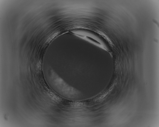 X0000091730785200709211019