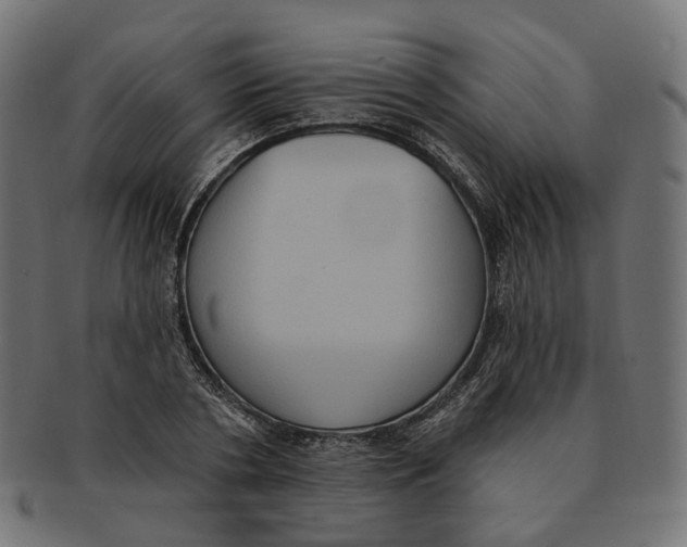 X0000091730786200709211019