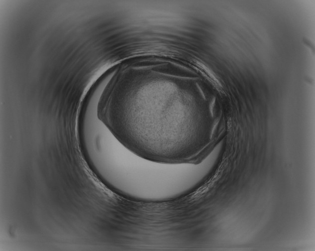 X0000091730788200709211019