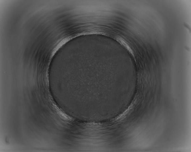 X0000091730789200709211019