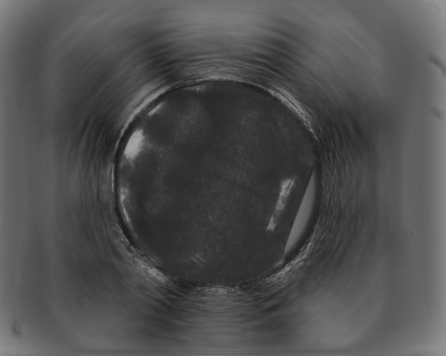 X0000091730790200709211019