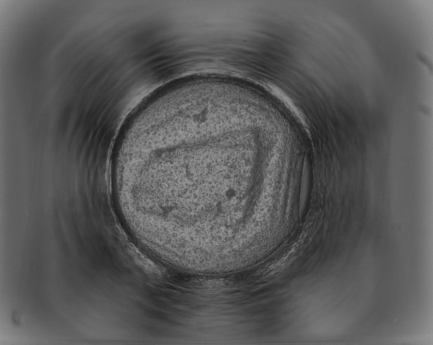 X0000091730791200709211019