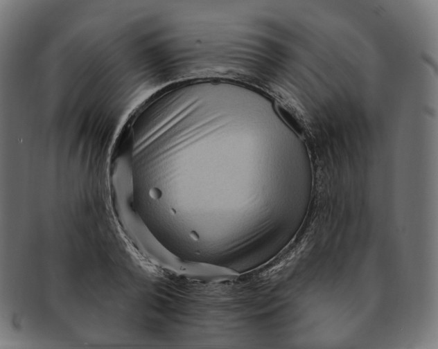 X0000091730792200709211019