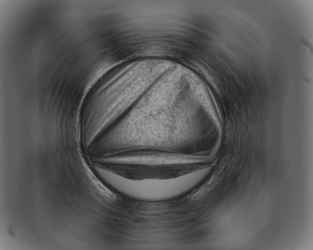 X0000091730795200709211019