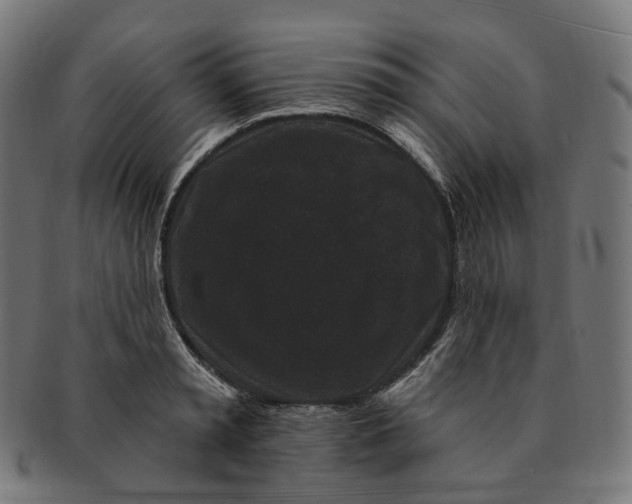 X0000091730797200709211019