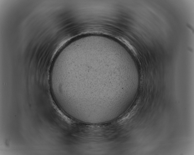 X0000091730799200709211019