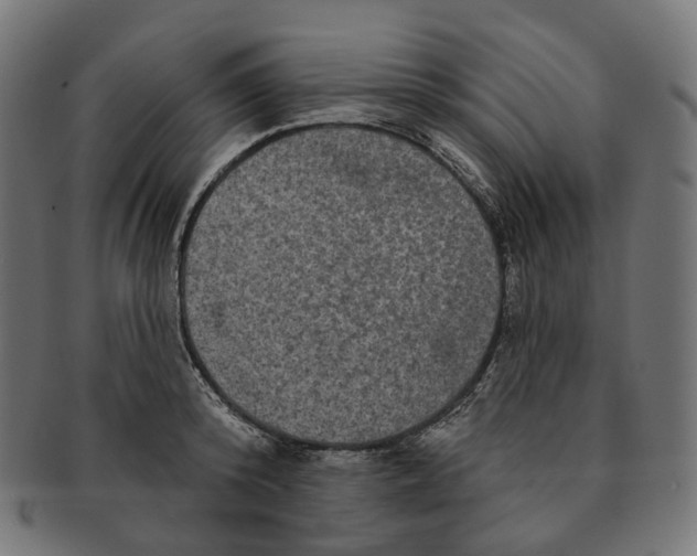 X0000091730800200709211019