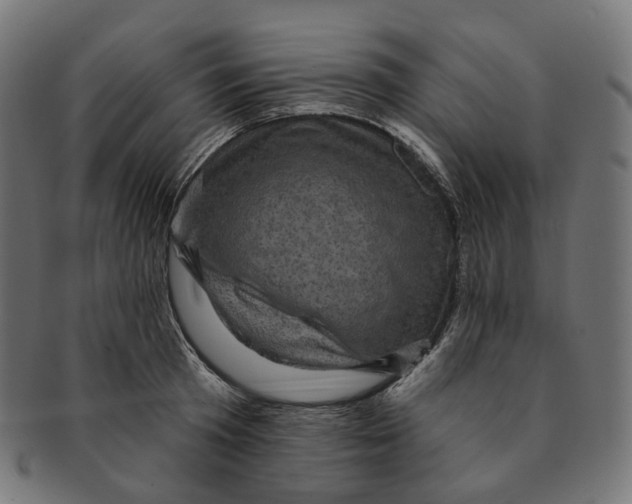 X0000091730801200709211019