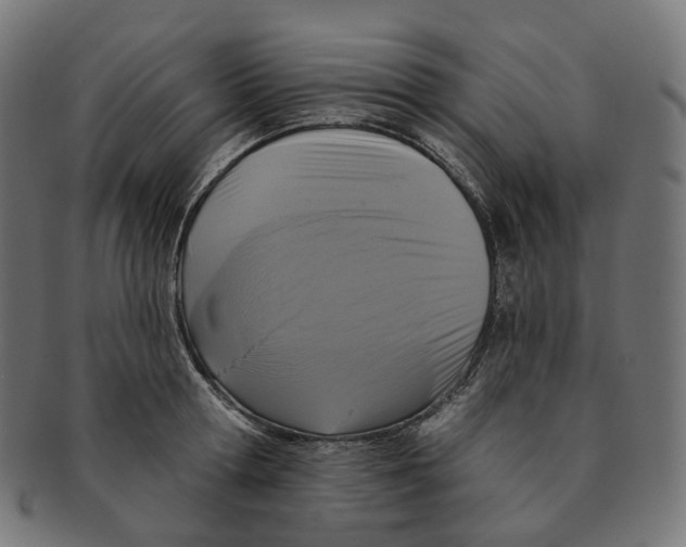 X0000091730802200709211019