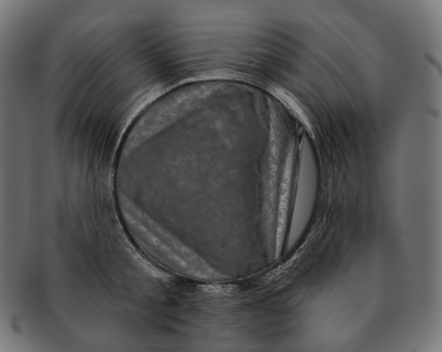 X0000091730805200709211019