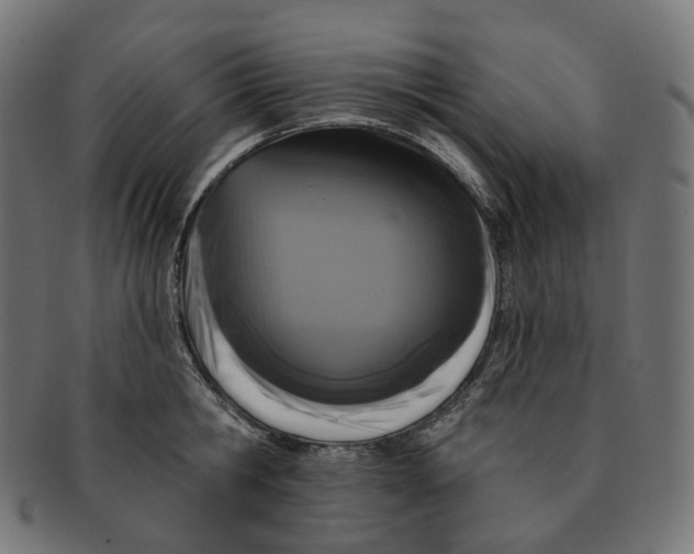 X0000091730806200709211019