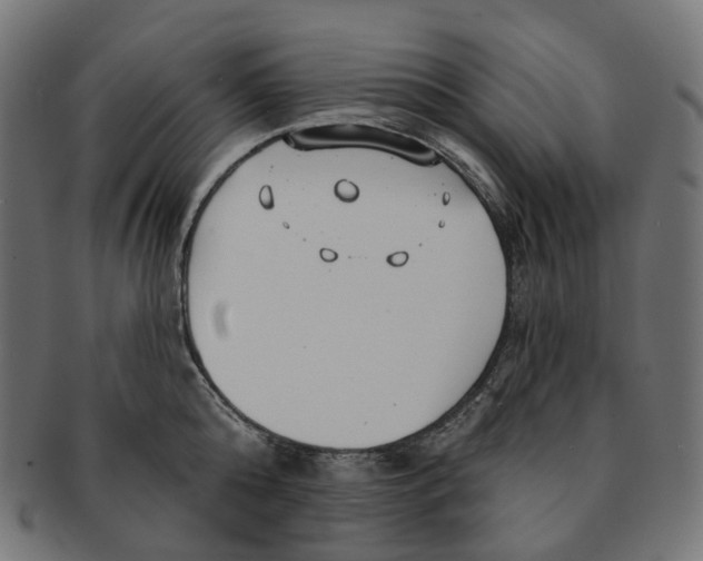 X0000091730808200709211019