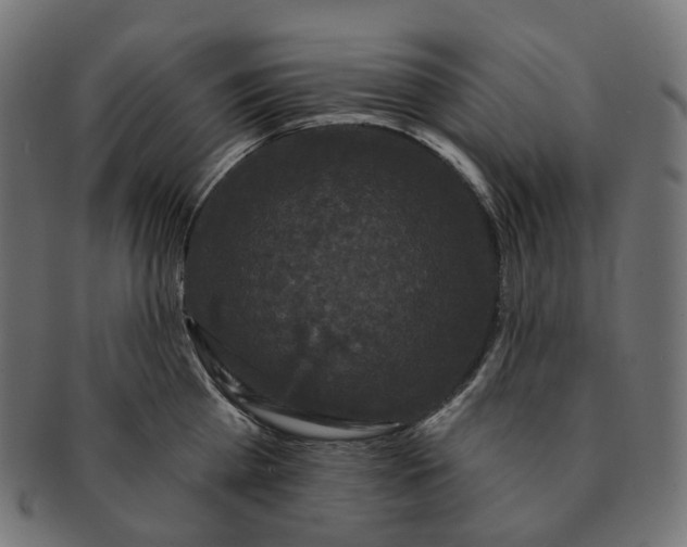 X0000091730809200709211019