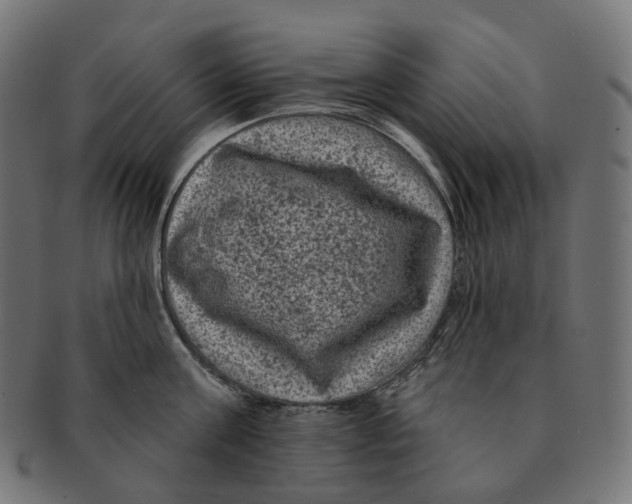 X0000091730811200709211019