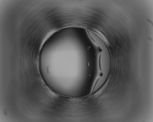 X0000091730812200709211019