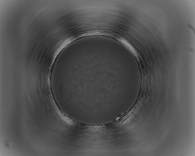 X0000091730813200709211019