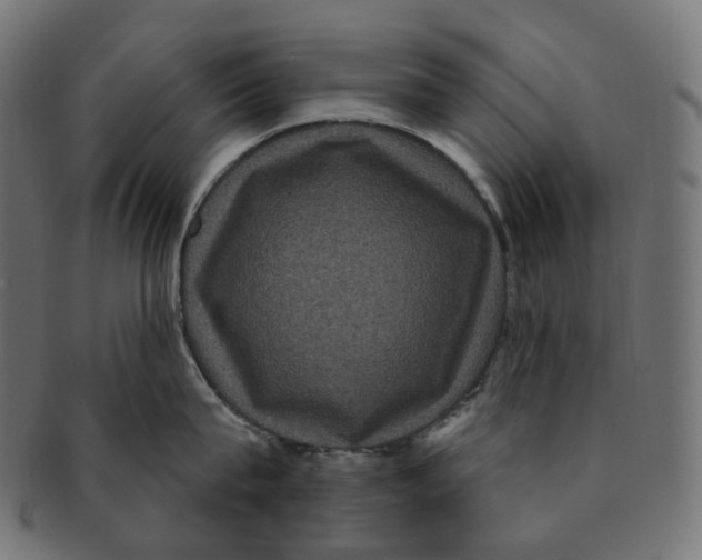 X0000091730815200709211019