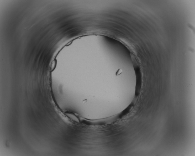 X0000091730816200709211019