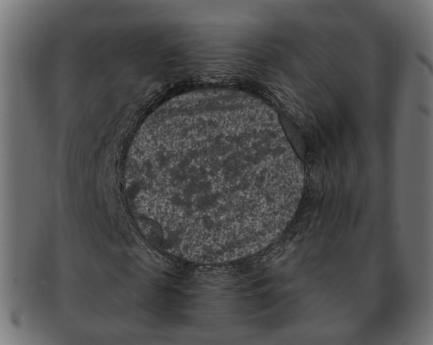 X0000091730817200709211018