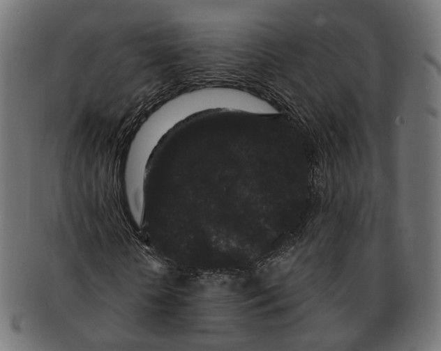 X0000091730818200709211018