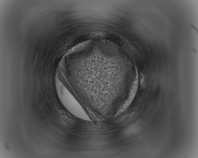 X0000091730819200709211018