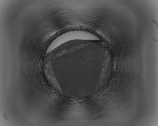 X0000091730822200709211018