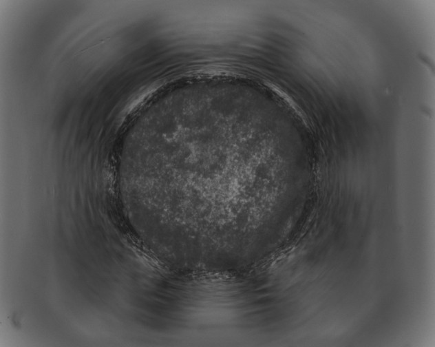 X0000091730823200709211018