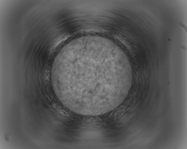 X0000091730824200709211018