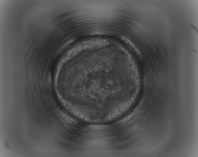 X0000091730825200709211018