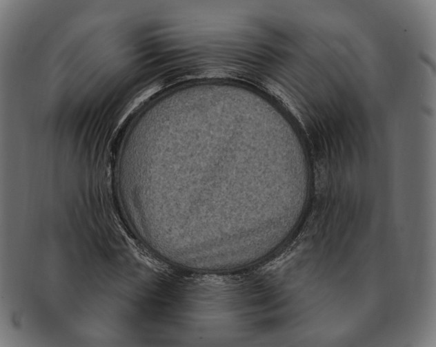 X0000091730827200709211018