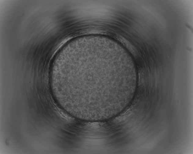 X0000091730828200709211018