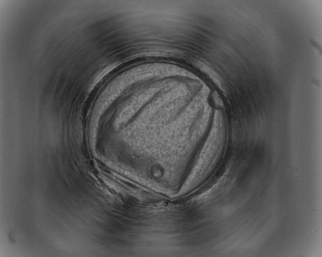 X0000091730829200709211018