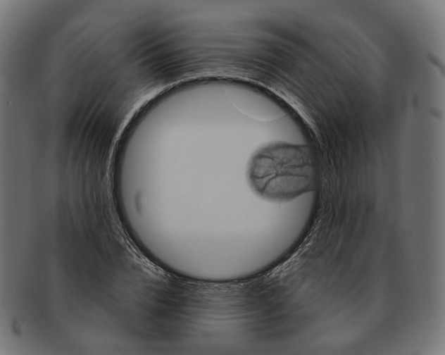 X0000091730832200709211018