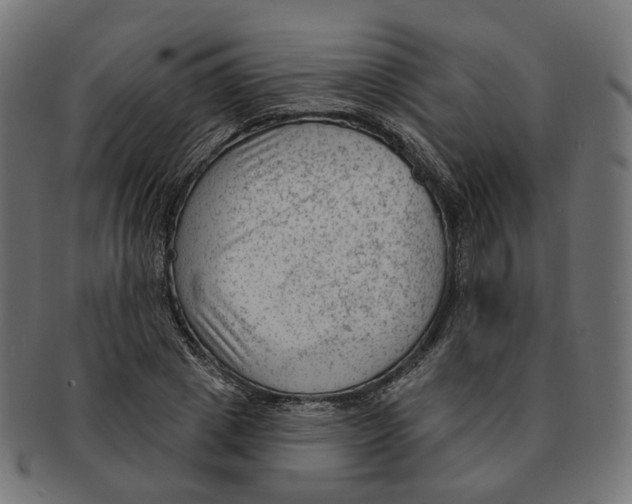 X0000091730833200709211018