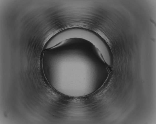 X0000091730834200709211018