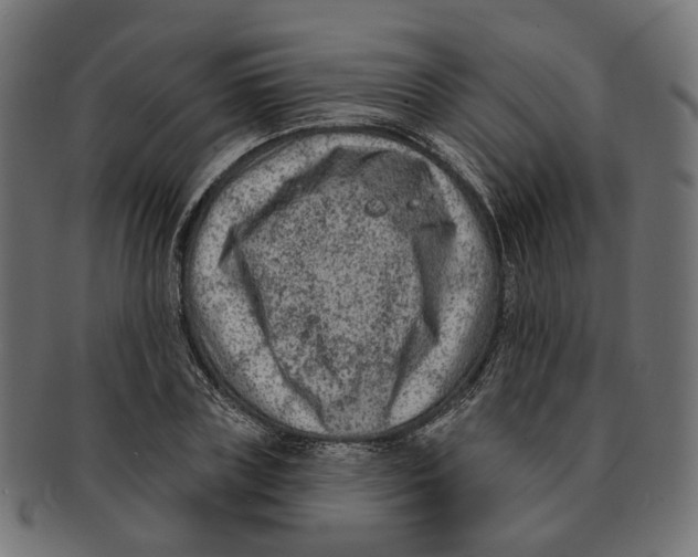 X0000091730835200709211018