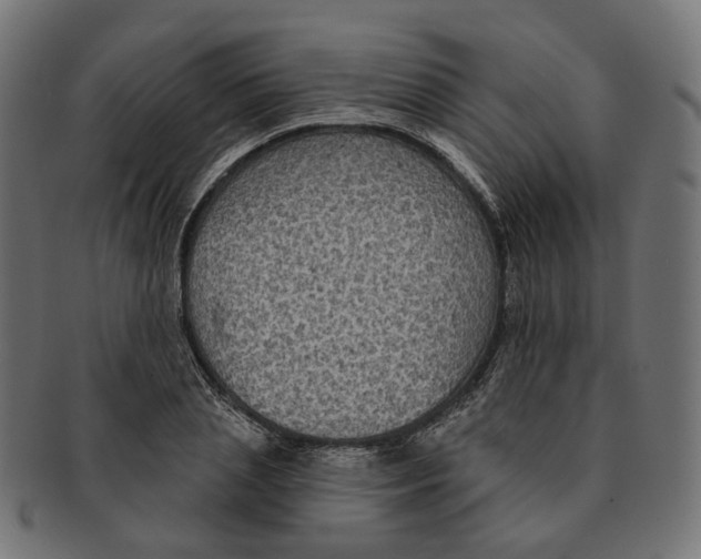 X0000091730837200709211018