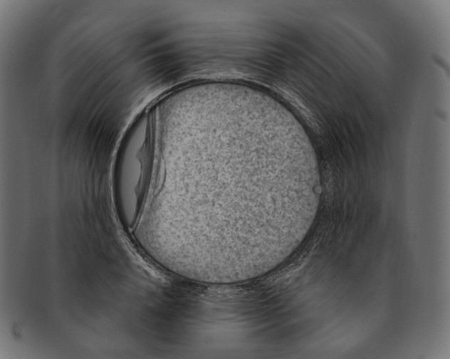 X0000091730840200709211018